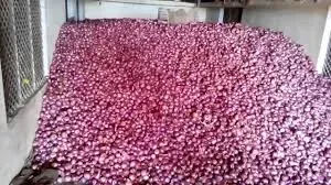 Onion Storage Tips: प्याज को महीनों तक खराब होने से बचाएं सही भंडारण के आसान तरीके जानिए और पाएं दोगुना मुनाफा