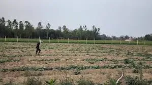 पारंपरिक खेती छोड़िए अपनाइए एडवांस तकनीक और कम जमीन में कमाइए ज्यादा मुनाफा