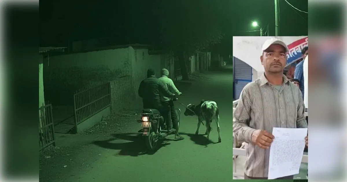 मुज़फ़्फ़रनगर के खतौली में बछड़ा चोरी करने वाले चोर सीसीटीवी में कैद