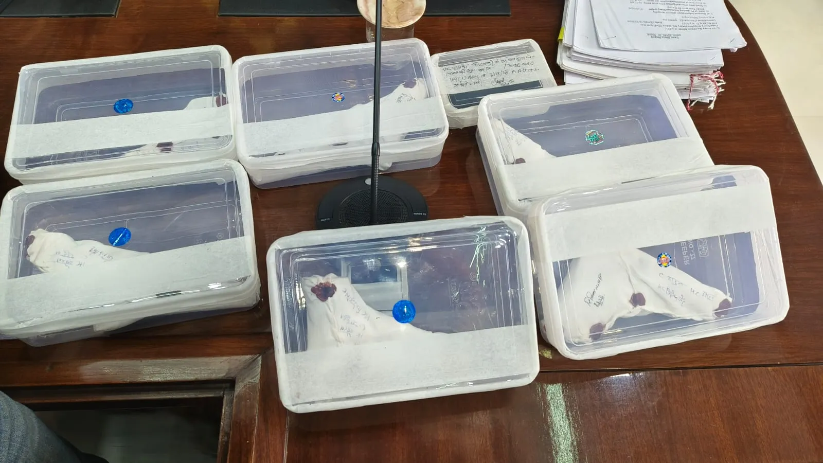 WhatsApp Image 2026-03-02 at 3.12.24 PM