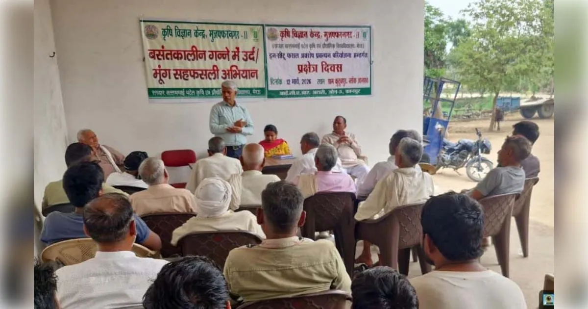 मुजफ्फरनगर के मीरापुर में कृषि नवाचार: गन्ने के साथ मूंग-उर्द की खेती से किसानों की बढ़ेगी आमदनी