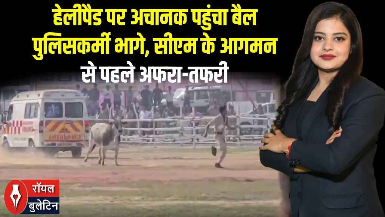 बेगूसराय में CM नीतीश के हेलीकॉप्टर लैंडिंग से पहले मचा हड़कंप, हेलीपैड पर घुसा बैल