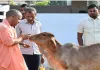 गोरखनाथ मंदिर की गोशाला में CM योगी ने ‘भोले’ नंदी महाराज को सहलाया, दिया सेवा और करुणा का संदेश