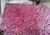 Onion Storage Tips: प्याज को महीनों तक खराब होने से बचाएं सही भंडारण के आसान तरीके जानिए और पाएं दोगुना मुनाफा