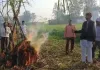 संभल में किसानों ने गन्ने की होली जलाकर जताया विरोध, 600 रुपये प्रति क्विंटल मूल्य की मांग