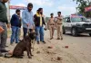 सहारनपुर: बेजुबान कुत्ते को बेरहमी से घसीटकर ईंटों से पीटा,दो पर मुकदमा