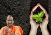 योगी सरकार का मिशन 'हरित प्रदेश', अब 2026 में 35 करोड़ पौधरोपण का नया लक्ष्य 