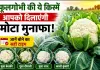 सितंबर में खेत खाली मत छोड़ना, फूलगोभी की ये 4 किस्में बदल सकती हैं किसानों की कमाई का हिसाब, जानें पूरा तरीका