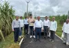 खतौली के जलभराव प्रभावित गांवों में पहुंचे उप गन्ना आयुक्त, लाल सड़न रोग से ग्रसित फसलों का लिया जायजा