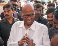 सुनेत्रा बनेंगी डिप्टी CM! शरद पवार बोले- मुझे पता नहीं... दोनों NCP के विलय पर दिया बड़ा बयान