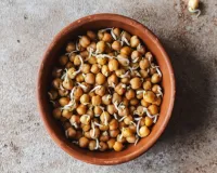 काला चना: भारी नहीं, बल्कि संतुलित आहार काला चना, मांसपेशियों के लिए संजीवनी 