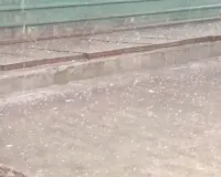 नोएडा-ग्रेटर नोएडा में भारी बारिश और ओलावृष्टि, किसानों में चिंता