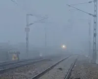 मौत के मुंह से निकले 40 यात्री.. कोहरे के कारण ट्रक से टकराई लग्जरी बस, आग के गोले में तब्दील हुआ वाहन