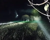  हाथियों के झुंड ने दो मकानों में की तोड़-फोड़, वन विभाग अलर्ट पर