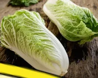 कम लागत में खेती से बड़ा कमाल, चाइनीज कैबेज ने किसानों की जिंदगी बदल दी, 55 दिन में लाखों की कमाई