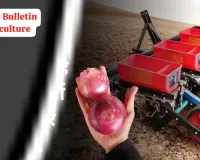 प्याज की खेती में नई क्रांति मशीन से बुवाई और कटाई कर किसान कमा रहे दोगुना मुनाफा और घटा रहे आधा खर्च