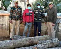 सहारनपुर: रामपुर मनिहारान पुलिस ने दो शातिर चोरों को पकड़ा, चोरी किए गए पोपलर के 06 लठ्ठे बरामद