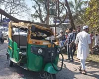 सहारनपुर में जनता रोड पर सूखा पेड़ गिरा, ननद-भाभी समेत 4 लोग घायल