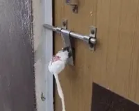 गौतमबुद्ध नगर में मानक उल्लंघन पर अल्ट्रासाउंड सेंटर सील, भ्रूण लिंग परीक्षण रोकने की कार्रवाई