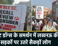सुप्रीम कोर्ट के फैसले के विरोध में लखनऊ में प्रदर्शन, स्ट्रीट डॉग्स के संरक्षण और मानवीय व्यवहार की उठाई आवाज