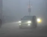 शामली में घना कोहरा और ठंडी हवाओं का कहर, तापमान में आई तीन डिग्री की गिरावट