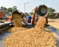 सरकार ने गरीब कल्याण अन्न योजना के तहत चावल में पोषक तत्वों को मिलाने की प्रक्रिया को रोका