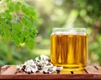 मोरिंगा ऑयल : प्रदूषण और धूप से खराब स्किन पर असरदार, दाग-धब्बों को भी करे दूर 