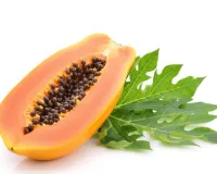 सिर्फ पपीता ही नहीं, बीज और पत्ते भी हैं लाभकारी, आयुर्वेद से जानें लाभ