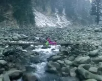 वेलेंटाइन डे पर एकता कपूर ने की नई फिल्म ‘हीर रांझा’ की घोषणा, साजिद अली करेंगे निर्देशन