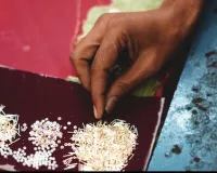 यूपी: ओडीओपी से जरी-जरदोजी को वैश्विक बाजार, सुरक्षा और सुशासन से तरक्की की रफ्तार तेज