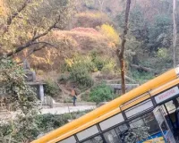 नेपाल बस हादसा: धादिंग में त्रिशूली नदी में गिरी बस, 18 यात्रियों की मौत