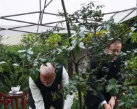 प्रधानमंत्री मोदी ने 'याद वाशेम' में होलोकॉस्ट पीड़ितों को दी श्रद्धांजलि, राष्ट्रपति हर्जोग संग लगाया 'एक पेड़ मां के नाम'