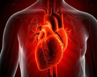 व्यायाम से पूरी नींद तक, इन 6 आसान आदतों से रखें हृदय को सुरक्षित और मजबूत 