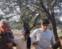 सहारनपुर: मुठभेड़ में गौकशी के आरोपी को घायल अवस्था में गिरफ्तार, अवैध तमंचा और गोवंश बरामद