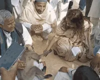 बागपत: जब एक लंगूर ने साड़ी खींचकर रोका डीएम का रास्ता, वायरल हुआ आईएएस का पशु प्रेम