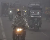 शामली में तीन दिनों से कोहरे का कहर, सुबह धुंध और शाम को सर्द हवाओं ने बढ़ाई ठंड