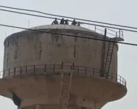 अजब-गजब: पानी की टंकी पर प्रदर्शन करने चढ़े थे ग्रामीण, मधुमक्खियों ने बोला हमला; मची भगदड़