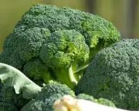 ब्रोकली की खेती से बदलेगी किसानों की किस्मत, सिर्फ 80 दिन में तैयार फसल, कम लागत में लाखों रुपये की जबरदस्त कमाई