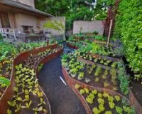 kitchen garden ideas: फरवरी में किचन गार्डन शुरू करें, घर पर उगाएं ताजी सब्जियां, कम मेहनत में शानदार पैदावार