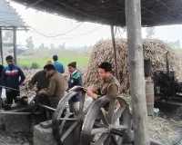 रॉयल बुलेटिन की खबर का बड़ा असर: प्लास्टिक कचरा जलाने और हरे पेड़ सुखाने वाले कोल्हुओं पर चला प्रशासन का हंटर