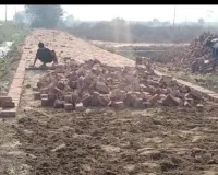 शामली में कॉलोनाइजर्स का दुस्साहस: सरकारी रजवाहे की पटरी पर बिना एनओसी बिछा दिया खड़ंजा