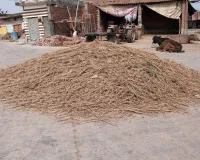 मुजफ्फरनगर में भोपा व ककरौली क्षेत्र के 78 गाँवों में 147 स्थानों पर होगा होलिका दहन, सुरक्षा के कड़े इंतजाम