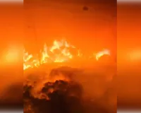 अमरोहा के रिहायशी इलाके में तांडव: कॉटन वेस्ट कारखाने में लगी भीषण आग, धू-धू कर जला लाखों का माल