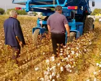 Cotton Picking Machine से बदलेगी कपास की खेती केंद्रीय कृषि अभियांत्रिकी संस्थान की नई मशीन से कम लागत में बढ़ेगी किसानों की आमदनी