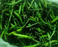 मेरठ व पश्चिम यूपी में हरी मिर्च के दाम में रिकार्ड वृद्धि, मंडियों में आवक कम