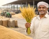 मध्य प्रदेश गेहूं उपार्जन 2026-27 बड़ी तैयारी, 2585 रुपये MSP पर किसानों को मिलेगा सीधा लाभ, 7 मार्च तक पंजीयन जरूरी