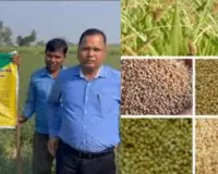 मेरठ में एलईडी वैन से मिलेट्स पुनर्धार कार्यक्रम, पोषक अनाज के लाभों को आमजन तक पहुँचाया