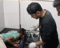 शामली में आवारा कुत्तों का खौफ: मासूम के सिर को बुरी तरह नोंचा, अस्पताल में बढ़े डॉग बाइट्स के मामले