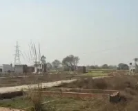 शामली में भू-माफियाओं का खुला खेल: सिंभालका रेलवे अंडरपास के पास बिना अनुमति बस रही अवैध कॉलोनियां, भोले-भाले लोगों को लूटने की साजिश!