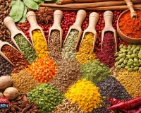 राशन हुआ सस्ता: चावल, गेहूं, चीनी और दालों की कीमतों में भारी गिरावट, जानें आपके शहर का नया भाव